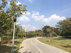 -尚贤河湿地