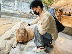 -Zoolung Zoolung动物主题公园(海信广场店)