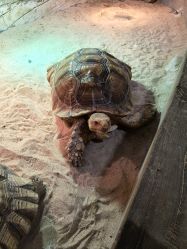 -Zoolung Zoolung动物主题公园(海信广场店)