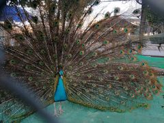 -陕西自然博物馆