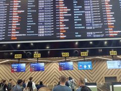 -谢列梅捷沃国际机场