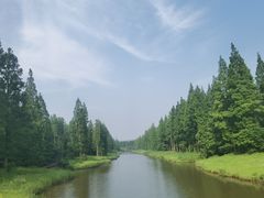 -黄海国家森林公园