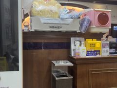 -宠爱国际动物医院·消化内科·心肾内科·ISFM猫友好(望京店)