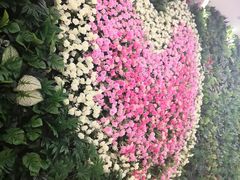 -秋林公司(北大街店)