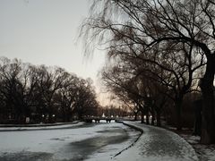 -北陵公园