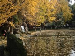 -温江公园