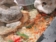 -冶春茶社(星汉大厦店)