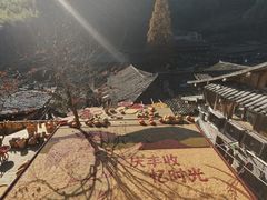-林坑古村落
