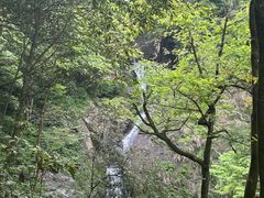 -石台牯牛降景区