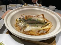 砂锅煲黄花鱼-鱼乐轩·俄罗斯海鲜直供餐厅(群力店)