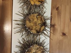 -海胆小馆(东北水饺·春柳店)