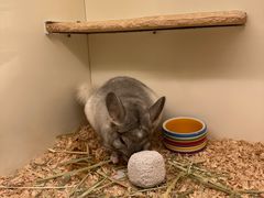 -龙猫仔乐园(惠福东路店)