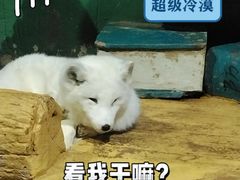 -大连圣亚海洋世界