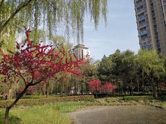 -木塔寺遗址生态公园