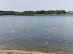 -丁香湖公园