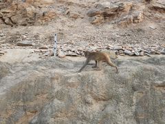 -石家庄市动物园