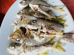 -蚝乡农庄(铁涌赤岸店)