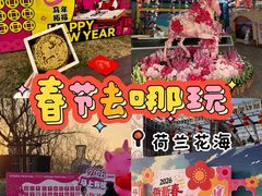-荷兰花海