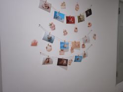 -敦南真爱月子会所(黄埔店)