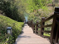 -桃花岭景区