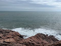 -广东惠东海龟国家级自然保护区
