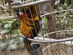 -南宫五洲植物乐园