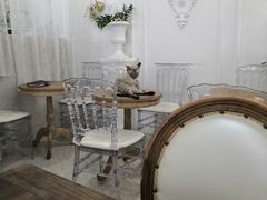 -共舞时光猫咖·狗咖(新街口店)