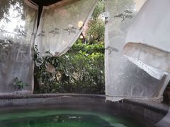-杭州第一世界大酒店·云曼温泉