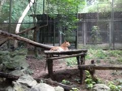 -清迈夜间动物园