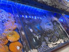 -四囍码头海鲜烧烤自助火锅(外滩南京东路悦荟广场店)