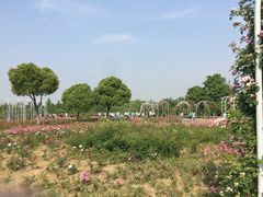 -尚贤河湿地