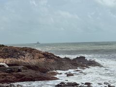 -广东惠东海龟国家级自然保护区