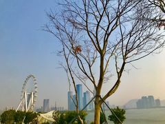 -宝安西湾红树林湿地公园