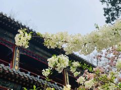 -潭柘寺景区