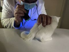 -瑞鹏宠物医院·超声·骨科·奇麟分院(蜀都万达店)