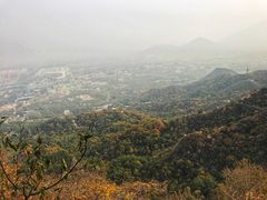 -北京鹫峰国家森林公园