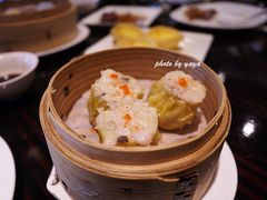 -新天世纪中餐厅