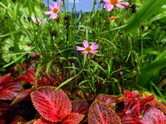 -国家植物园南园