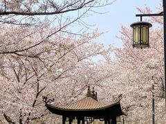 -苏州上方山国家森林公园