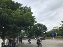 -艾米稻香小镇