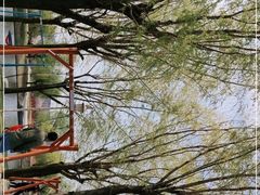 -羊亭河湿地公园