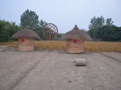 -溱湖国家湿地公园