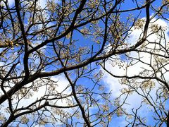 -味道工厂楚虾王(龙虾城店)