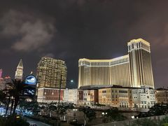 -澳门威尼斯人综合度假区