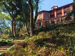 -之江大学-旧址