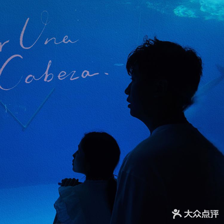 成都周末好去处 遛娃 情侣 都出片…