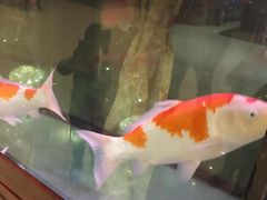 -亿尾水席(奥体中心店)