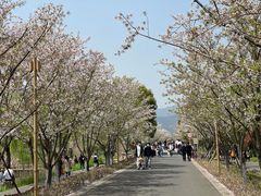 -长田漾湿地公园