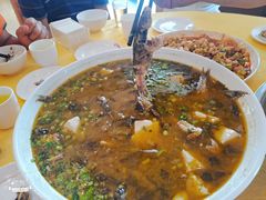 -胖大姐黄辣丁鱼庄(新津店)