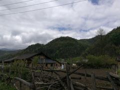 -黑河国家森林公园